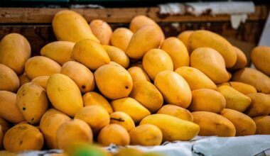 Erfolgreiche Jahresbilanz 2025 der Lebensmittelrettung trotz Herausforderungen