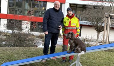 Hundewippe aus Radebeul fürs Training der Rettungshunde