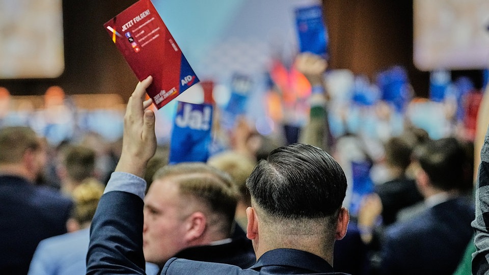 "Generation Deutschland": Kaum AfD-Nachwuchs aus Sachsen, Sachsen-Anhalt und Thürngen im Bundesvorstand