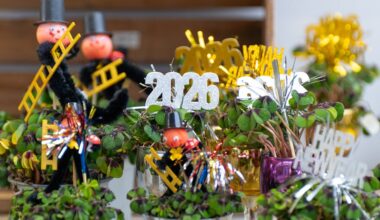 Zwischen Freude und Ernst: Deutschland bereit für 2026