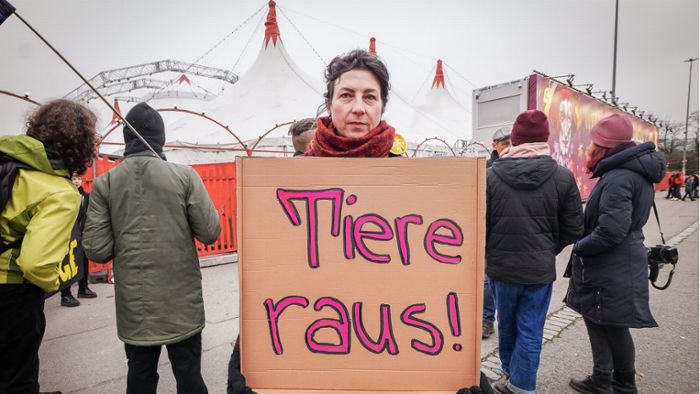 Tierschützer-Demo auf dem Wasen: Pferde im Weltweihnachtscircus: Stress pur oder tiefe Vertrautheit?