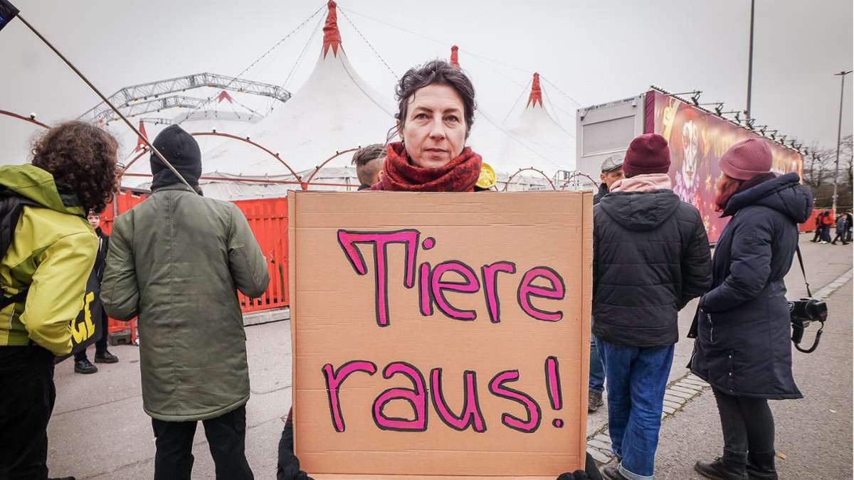 Tierschützer-Demo auf dem Wasen: Pferde im Weltweihnachtscircus: Stress pur oder tiefe Vertrautheit?