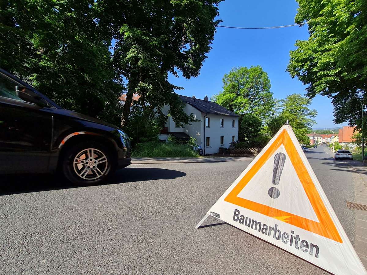 Tiere: Seilbrücke in Nürnberg soll Eichhörnchen vor Autos schützen - Region