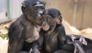 Ausbildung im Zoo Stuttgart: Fünf Stellen für 200 Bewerber – so wird man Tierpfleger in der Wilhelma