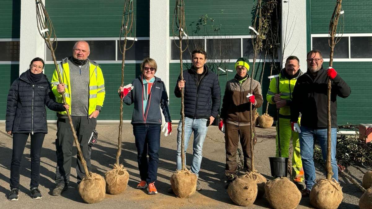 Haushalt Kornwestheim: Streichliste in Kornwestheim – Kein Geld für Klimabäume und Lurchi-Ampel