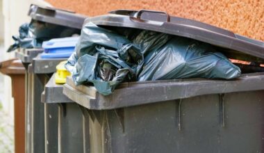 Müllentsorgung im Kreis Esslingen: Für mehr Kostengerechtigkeit: AWB will Mülltonnen mit Mikrochip versehen - Kreis