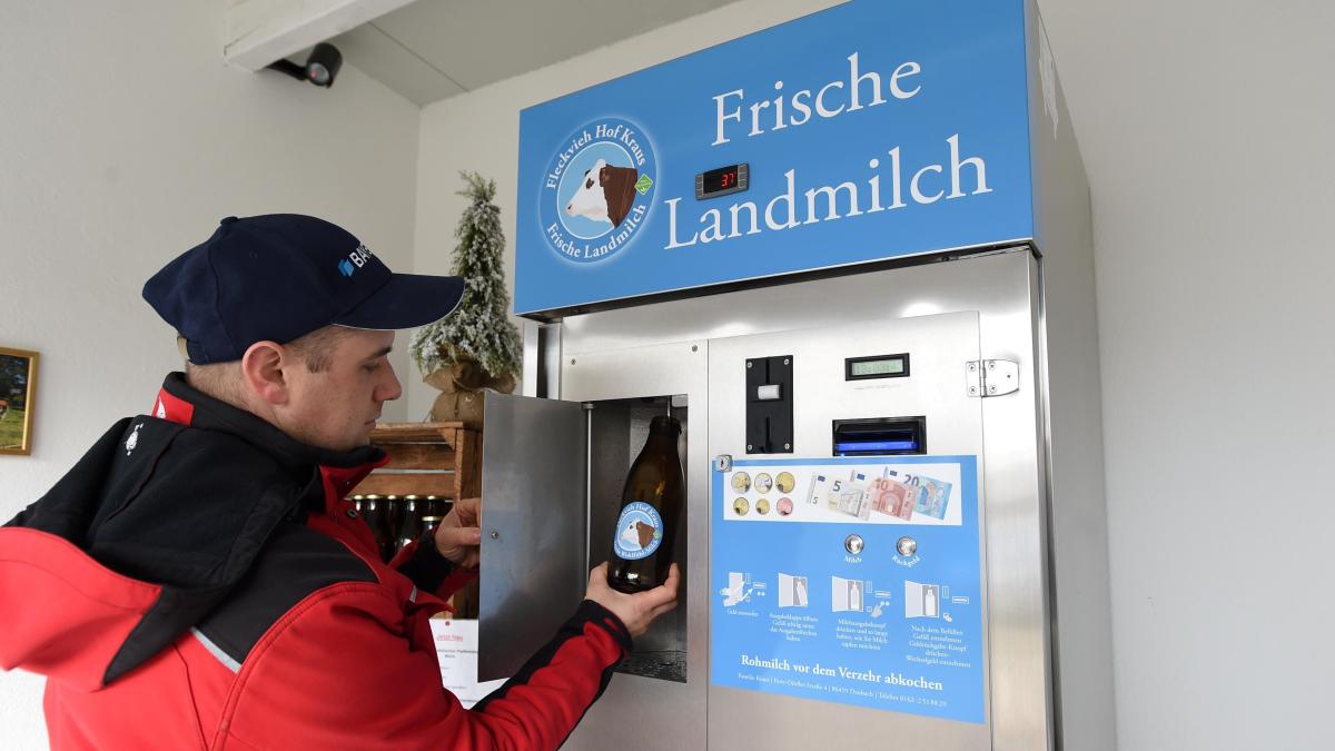 Rund um Silvester schnell zu Eiern, Milch und Nudeln