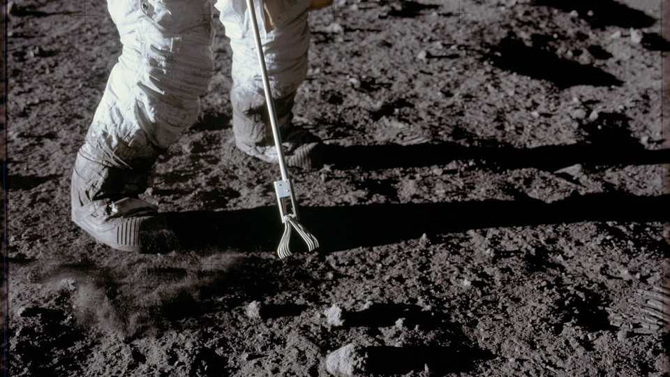 Überleben im Weltall: Dresdner Forschende testen, was auf Mond- und Marsgestein wächst