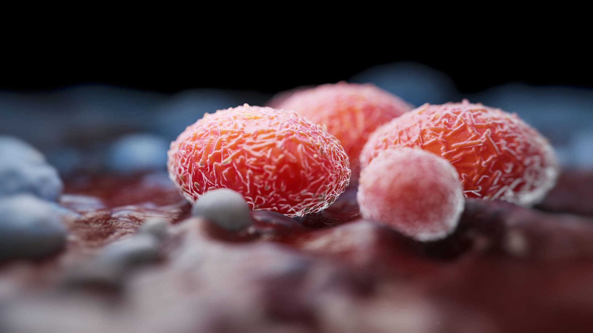 mpox-Virus: Die neue Variante vereint genetisches Material von Klade 1b und 2b.