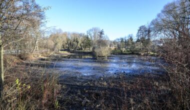 Wird dieser Teich endlich wieder schön gemacht?