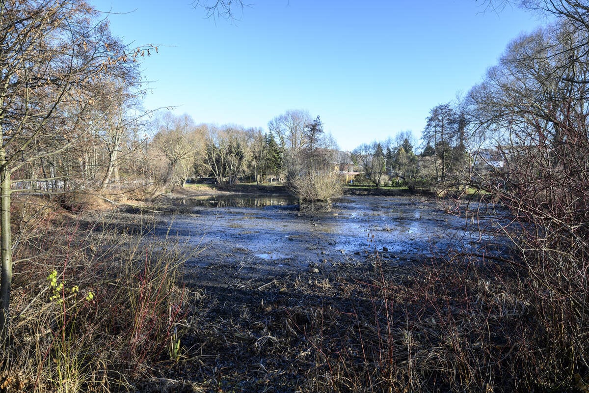 Wird dieser Teich endlich wieder schön gemacht?