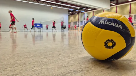 Ein Volleyball liegt auf einem Spielfeld.