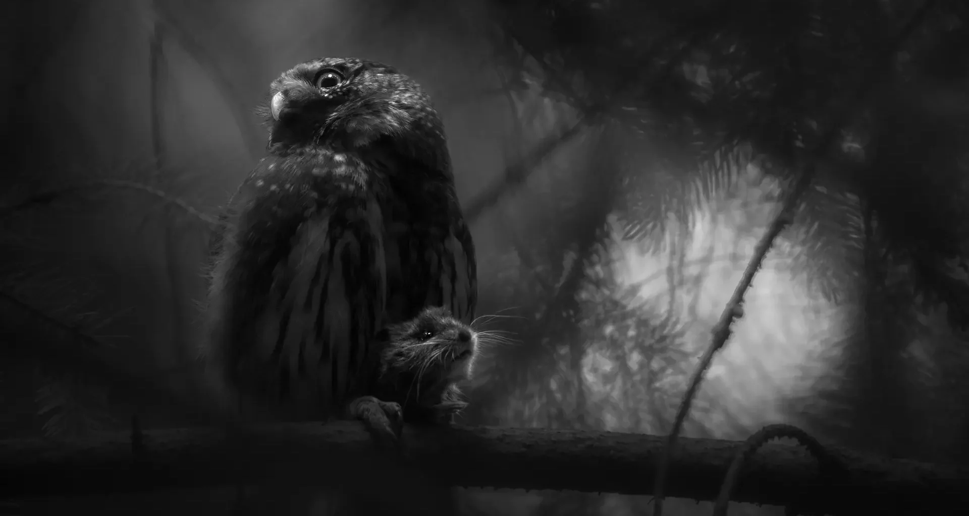 Ausstellung zum Europäischen Naturfotografen 2025 öffnet in Verden