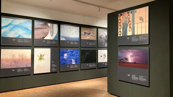Das Bild zeigt den Ausstellungsraum des Europäischen Naturfotograf-Wettbewerbs in Verden.
