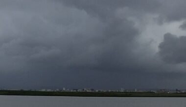 Warnung vor Nebel - HalleSpektrum.de