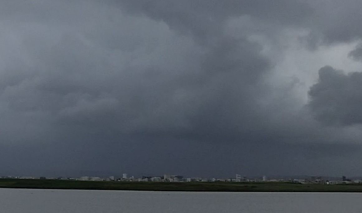 Warnung vor Nebel - HalleSpektrum.de