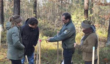 Nelderäder: Effiziente Pflanzmethode für klimafeste Wälder