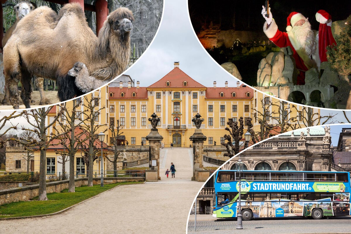 Noch nichts vor am zweiten Advent? Hier sind acht Tipps für den perfekten Sonntag