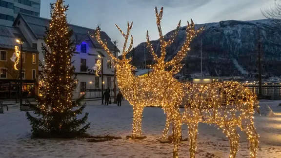 Ein Tannenbaum und zwei Rentiere aus Lichterketten als Adventsbeleuchtung in Tromsö.