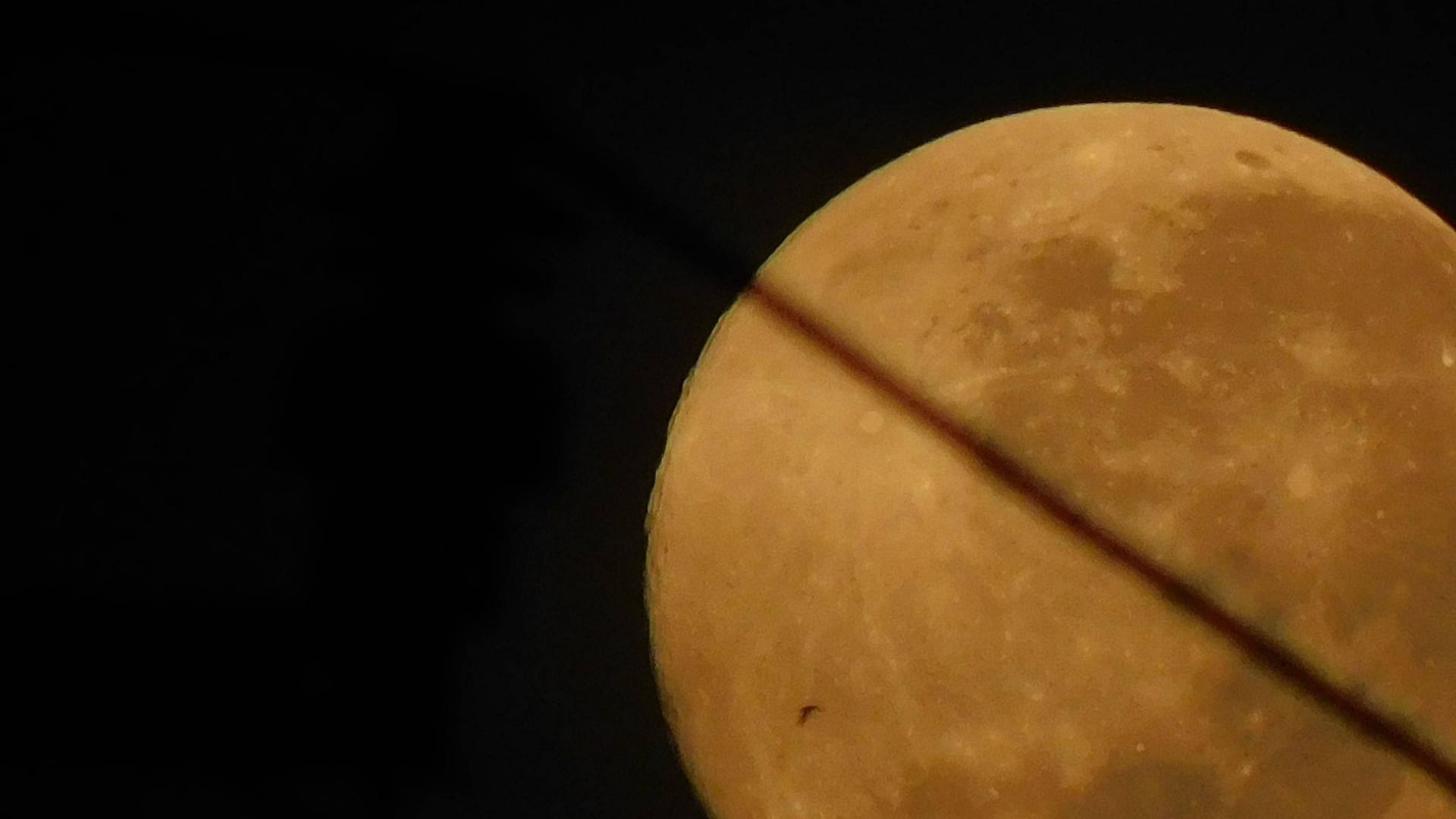 imago images 0839603800