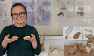 Foto der Forscherin mit zwei Schädeln von Bürstenkängurus