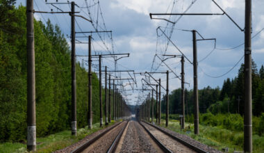 Verbände warnen Bundesregierung vor German Vote • Table.Briefings