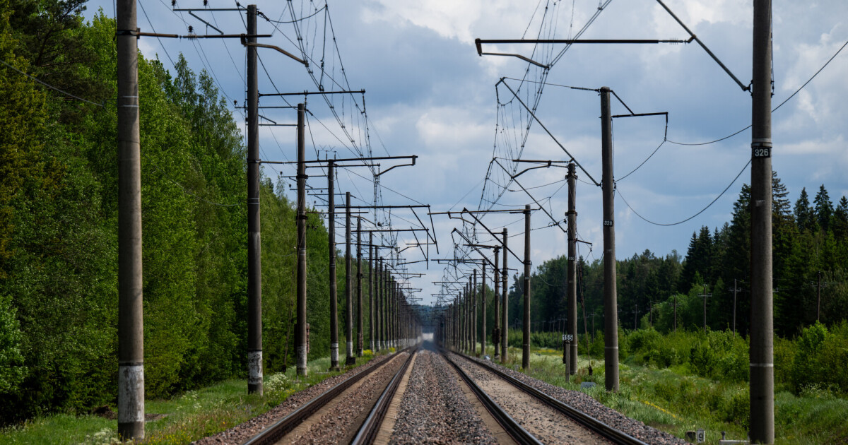 Verbände warnen Bundesregierung vor German Vote • Table.Briefings