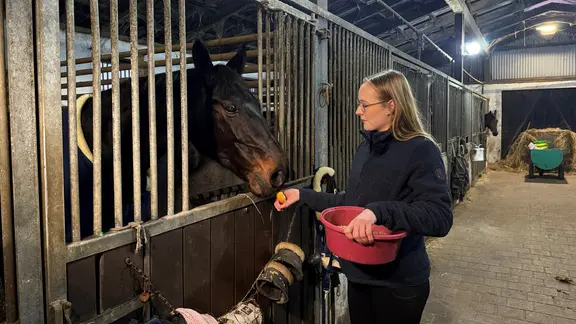 Charlotte Karallus füttert ihre 14-jährigen Stute "Showi" im Stall mit einem Apfel.