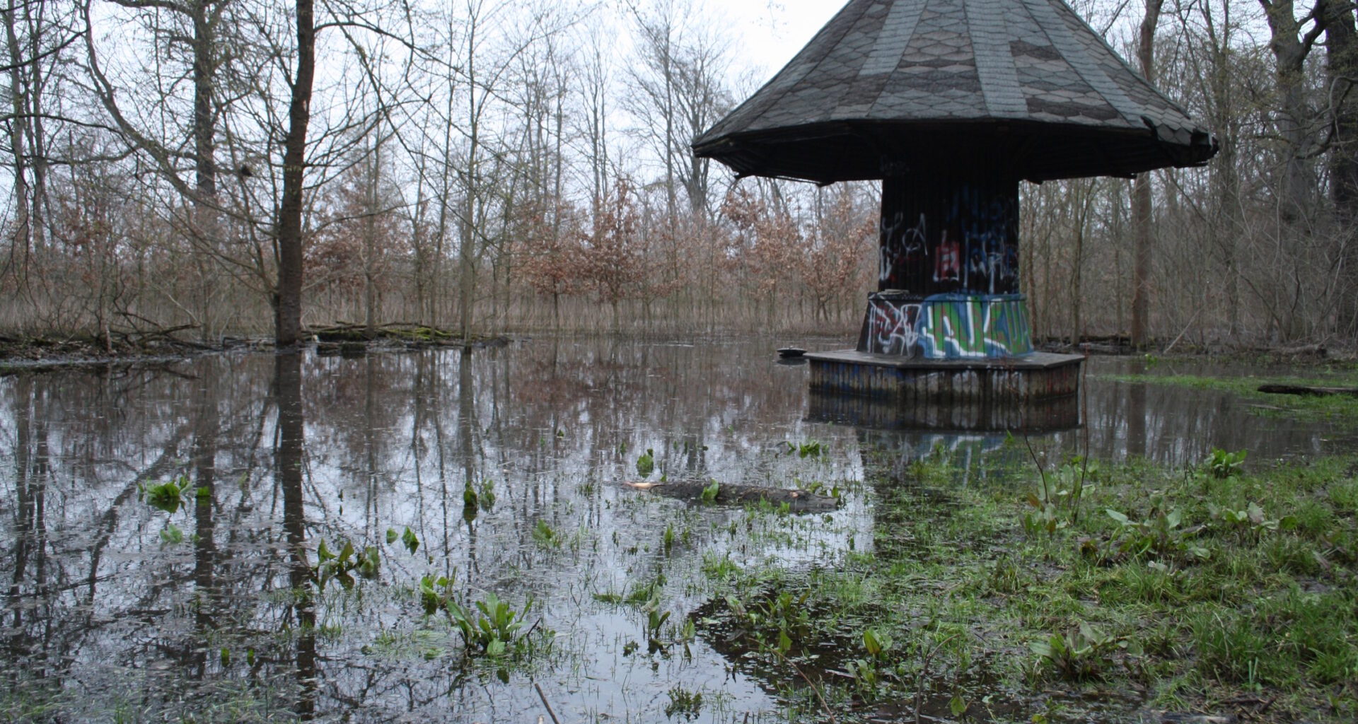 Für Bauarbeiten an der „Dynamischen Aue“ werden im Januar Wege im Elster-Pleiße-Auwald gesperrt · Leipziger Zeitung