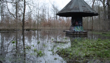 Für Bauarbeiten an der „Dynamischen Aue“ werden im Januar Wege im Elster-Pleiße-Auwald gesperrt · Leipziger Zeitung