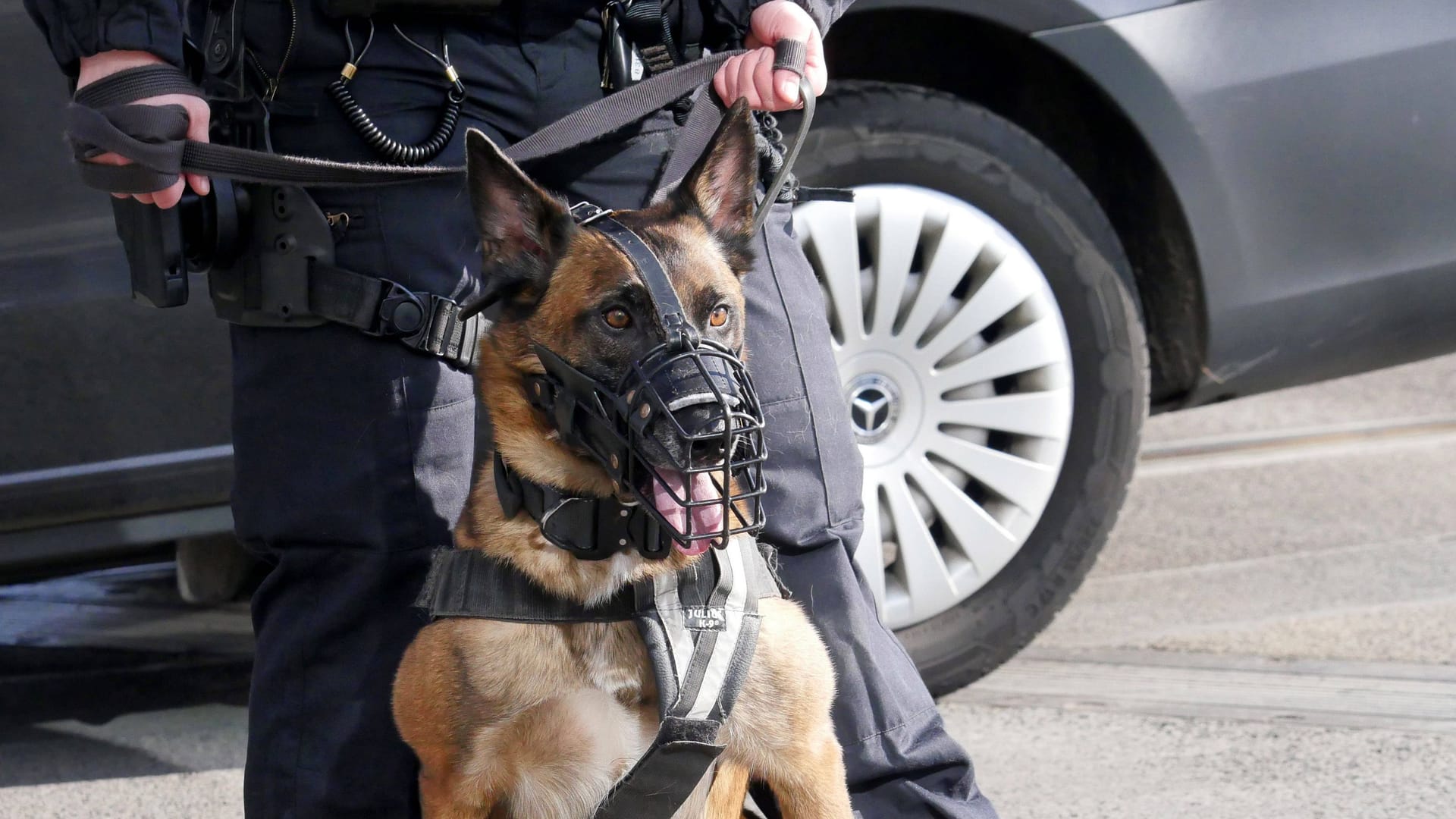 imago images 0804625688