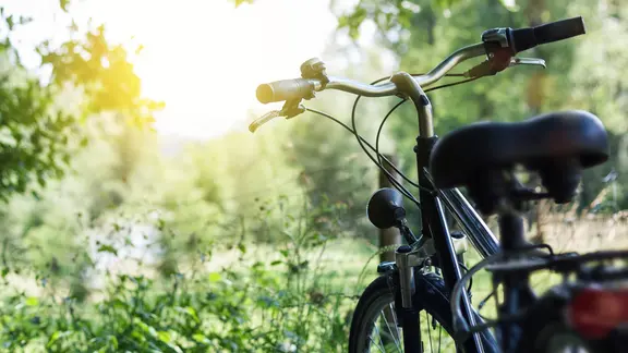 Ein Fahrrad parkt im Grünen.