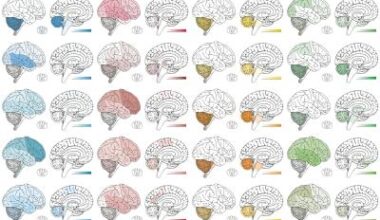 Hirntumor-KI erkennt jetzt über 180 Tumorarten • healthcare-in-europe.com
