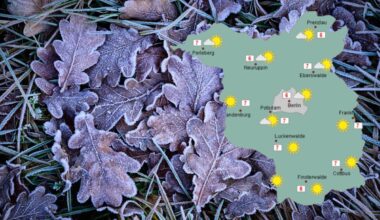 Woche in Berlin und Brandenburg startet mild: Doch nachts wird's frostig