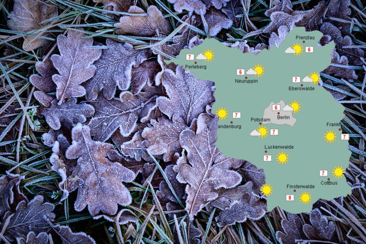 Woche in Berlin und Brandenburg startet mild: Doch nachts wird's frostig