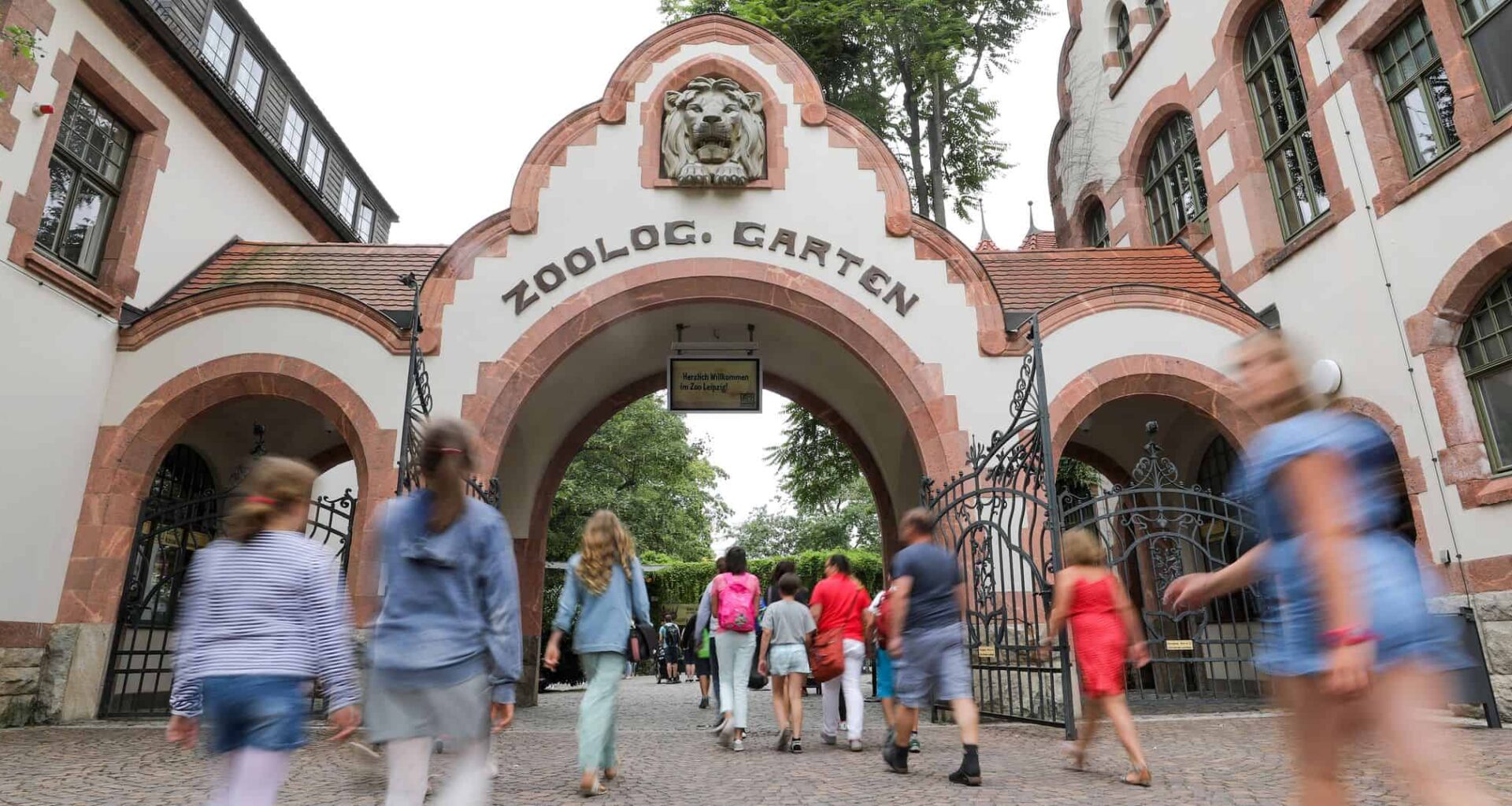Sachsens Zoos investieren Millionen – Preise meist stabil