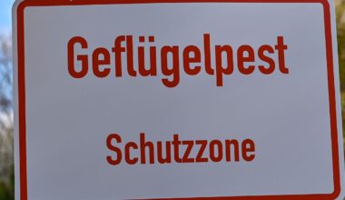 Keine Stallpflicht mehr in zwei Kreisen in Nord-Brandenburg