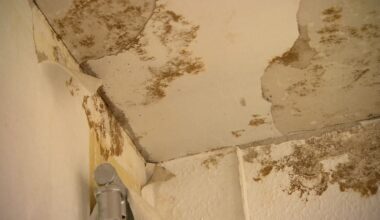 Wasser, Schimmel, Pilze: Bremer Mieter protestieren gegen LEG-Konzern