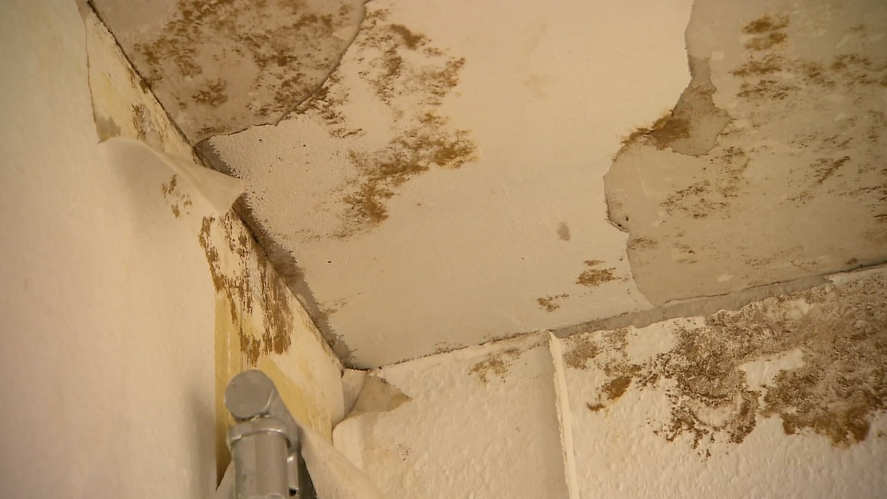 Wasser, Schimmel, Pilze: Bremer Mieter protestieren gegen LEG-Konzern