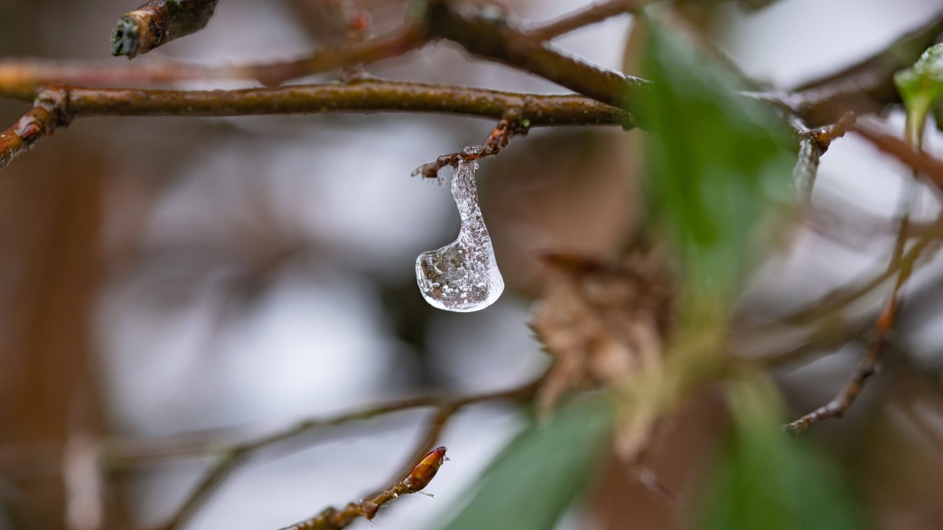 imago images 0200908710