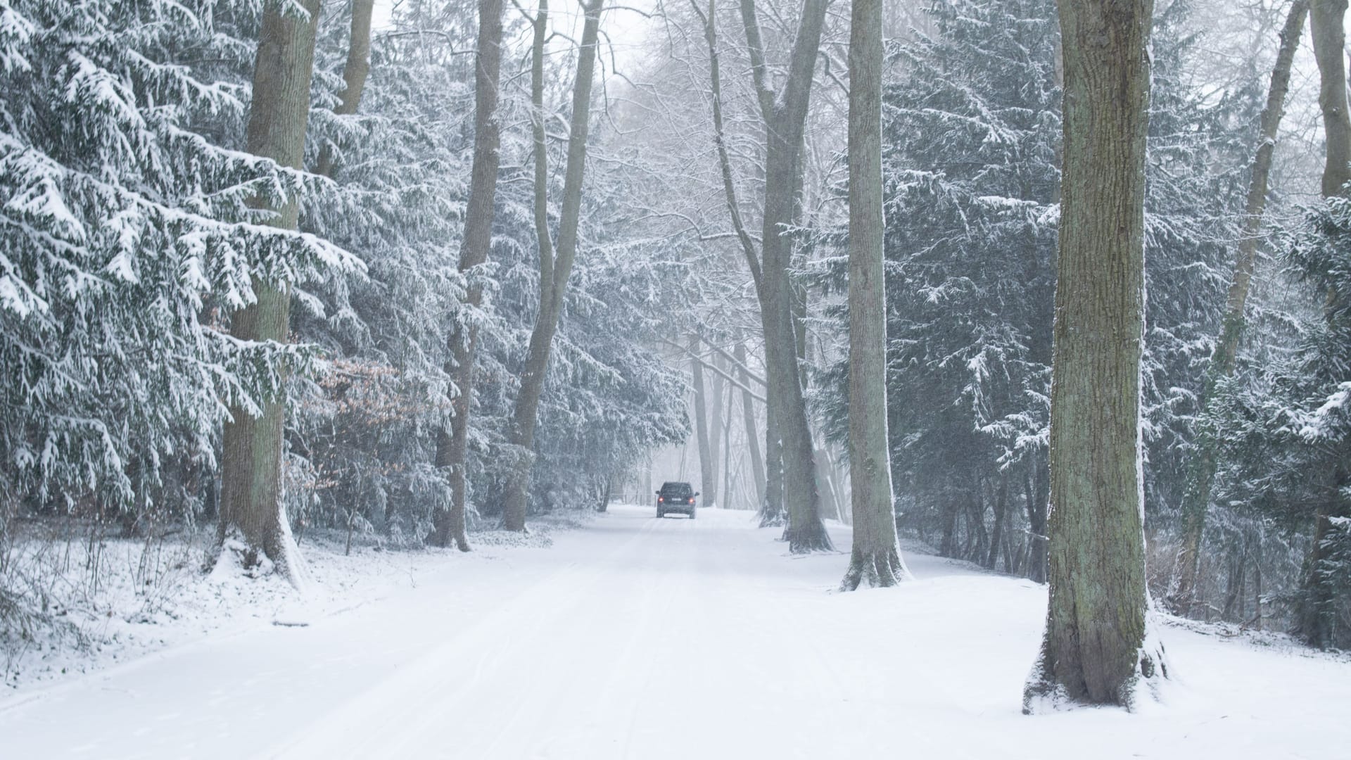 Snowy street at Lousberg in Aachen, Germany Snowy street at Lousberg in Aachen, Germany