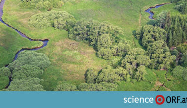 Grünes Band Europa: Naturschutz braucht weniger Grenzen