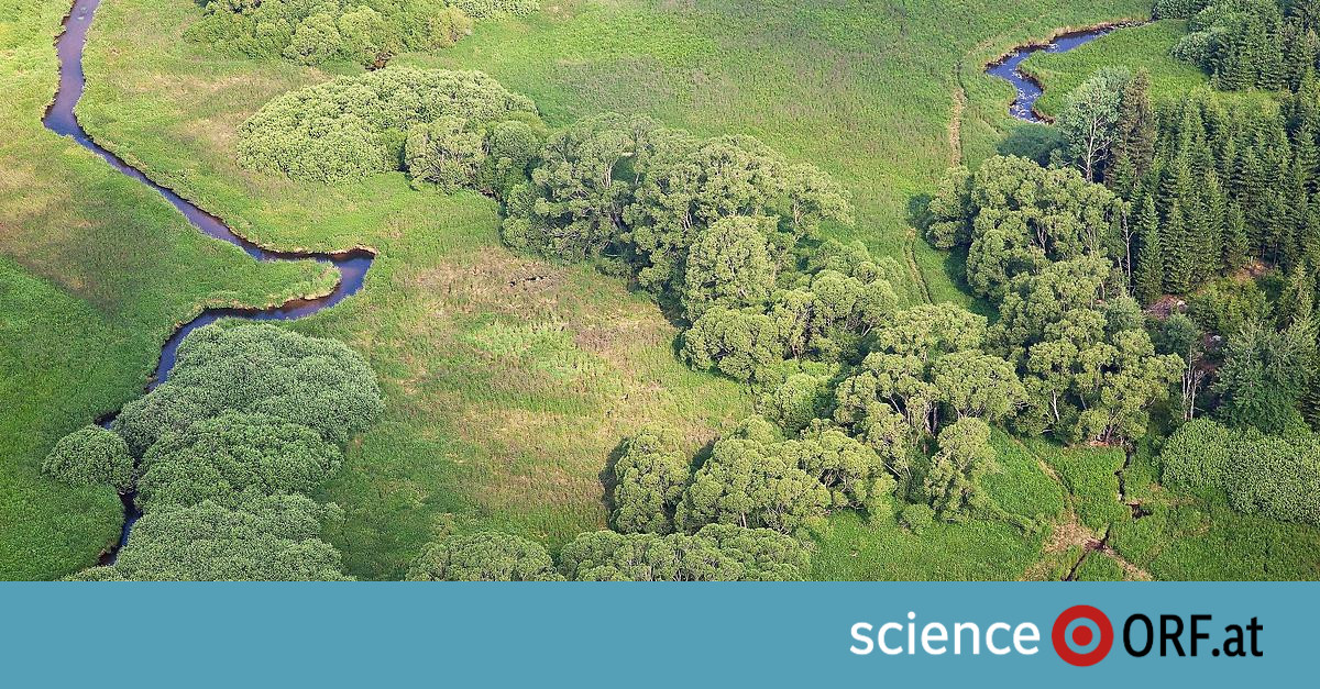 Grünes Band Europa: Naturschutz braucht weniger Grenzen