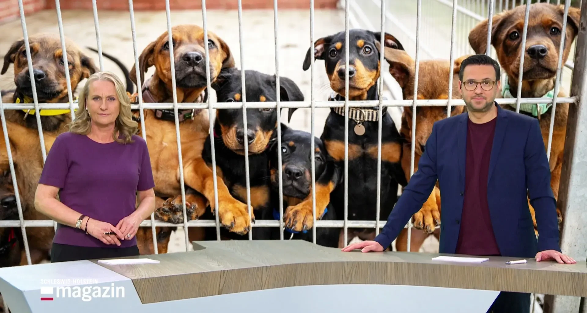 Schleswig-Holstein Magazin | 16.12.2025 - NDR.de