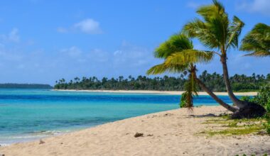 Entwicklungsumgebung IntelliJ IDEA 2025.3 erscheint im Islands Theme