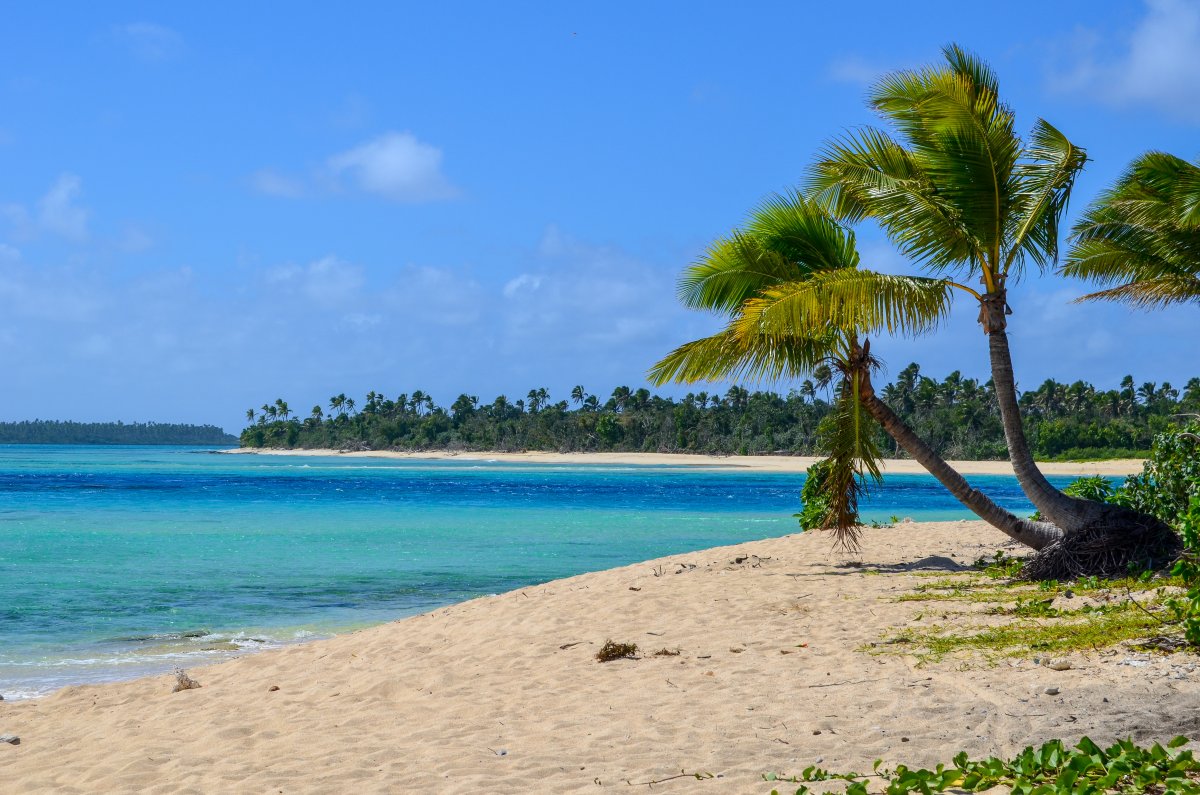 Entwicklungsumgebung IntelliJ IDEA 2025.3 erscheint im Islands Theme