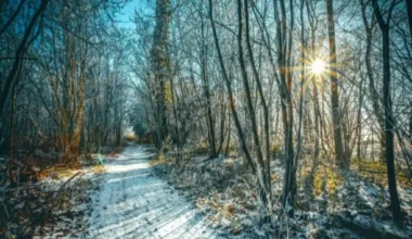 Das Wetter in Münster: Kühl und zumeist trocken