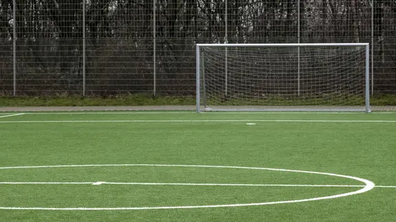 Ein Kunstrasen-Sportfeld mit Tor.