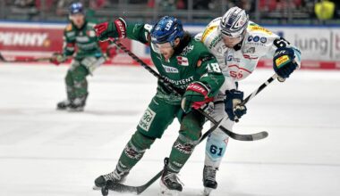 Augsburger Panther verlieren gegen DEL-Schlusslicht Dresden