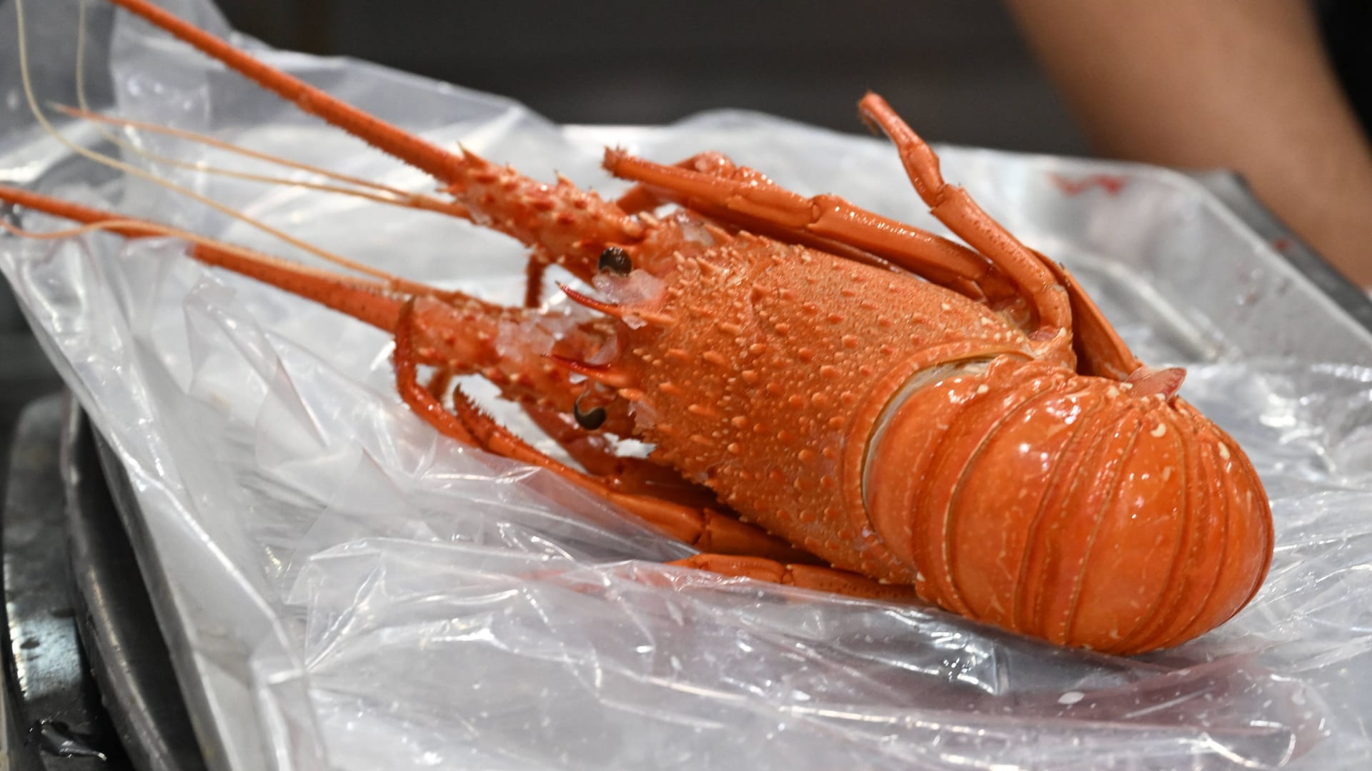 imago images 0843749893